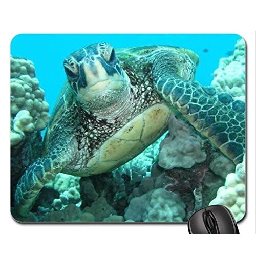 Tapis de souris Tortue