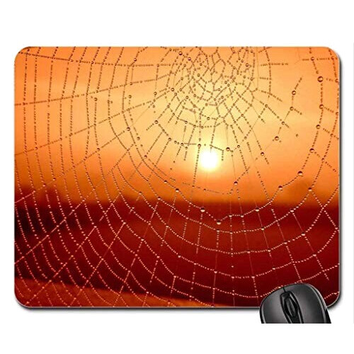 Tapis de souris Araignée