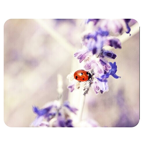 Tapis de souris Coccinelle noir