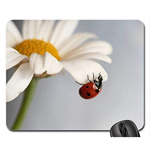 Tapis de souris Coccinelle