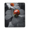 Tapis de souris Coccinelle noir 18x22 cm - miniature variant 6