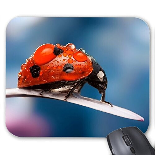 Tapis de souris Coccinelle