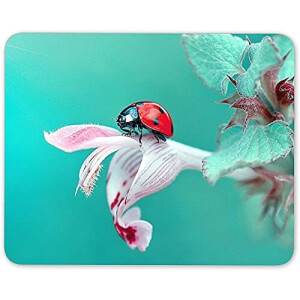 Tapis de souris Coccinelle mousepad- 25x20 cm