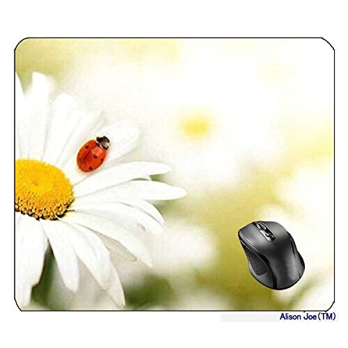 Tapis de souris Coccinelle