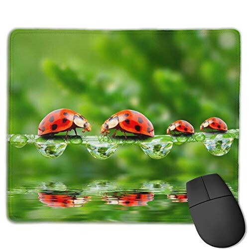 Tapis de souris Coccinelle