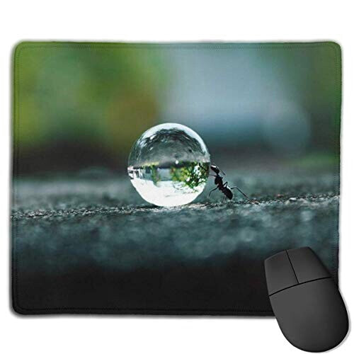 Tapis de souris Fourmi