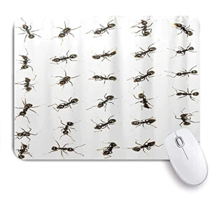 Tapis de souris Fourmi mousepad- 25x20 cm