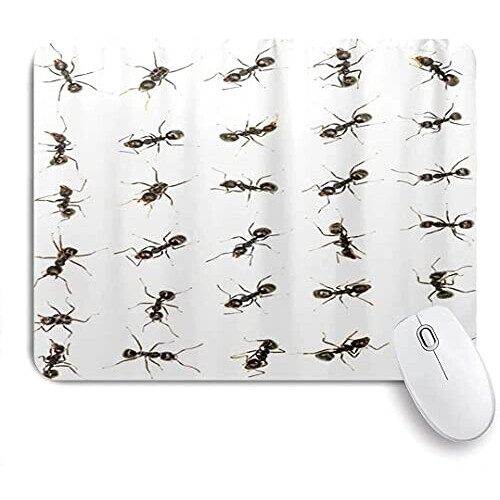 Tapis de souris Fourmi mousepad- 25x20 cm variant 0 