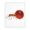 Tapis de souris Fourmi mignon 180x220 mm - miniature
