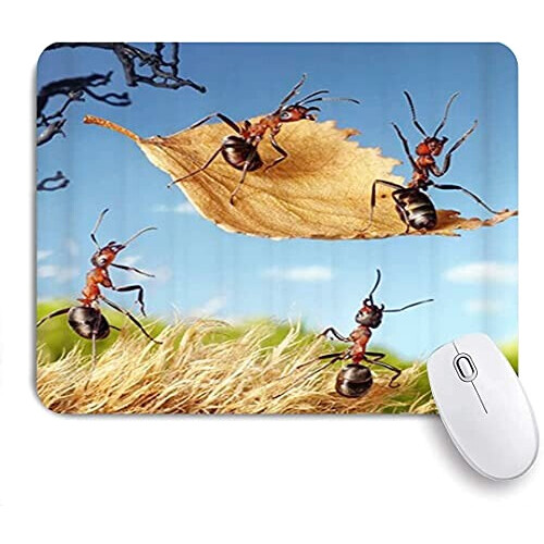 Tapis de souris Fourmi mousepad- 25x20 cm