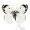 Tapis de souris Papillon multicouleur 22x20 cm - miniature