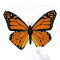 Tapis de souris Papillon multicouleur 22x20 cm - miniature