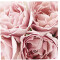 Tapis de souris Rose - Fleur - miniature variant 1
