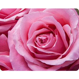 Tapis de souris Rose - Fleur - 24x19 cm