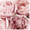 Tapis de souris Rose - Fleur - miniature variant 2
